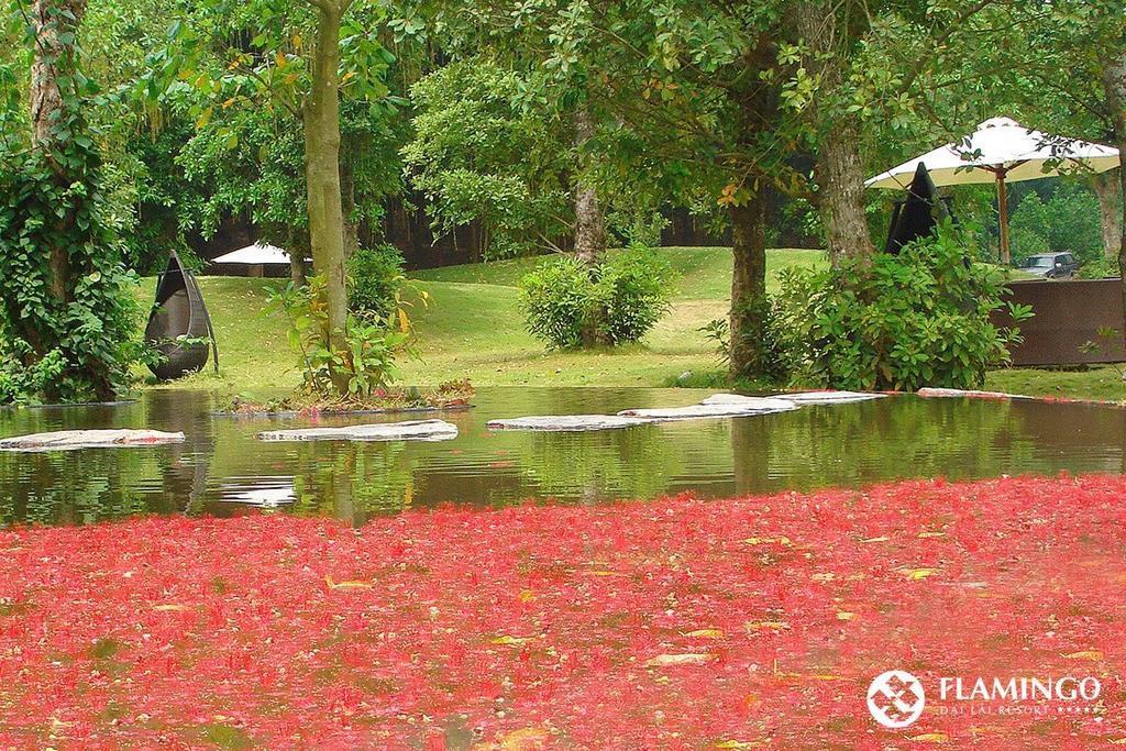 Flamingos Villa Happy Bt Ngoc Quang Eksteriør billede